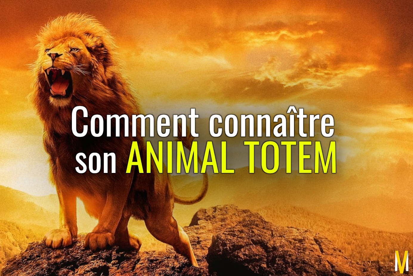 comment connaître son animal totem